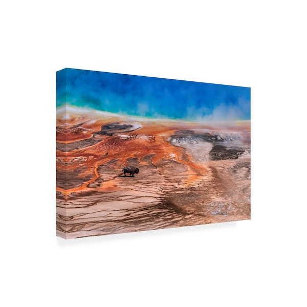 Tom Meier 'Bison Landscape' Canvas Art,22x32